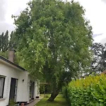 Frühstückspension Mary's Poppies - Au Calme *