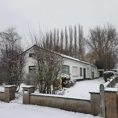 Mary's Poppies - * Blandain