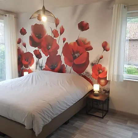 Mary's Poppies - Au Calme Panzió Blandain