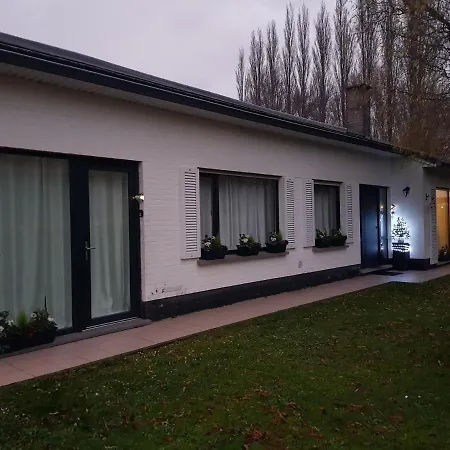 Mary's Poppies - Blandain