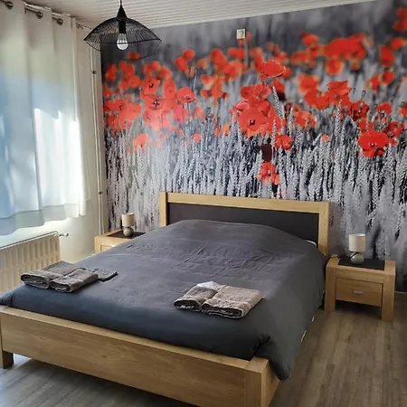 Mary's Poppies - Blandain