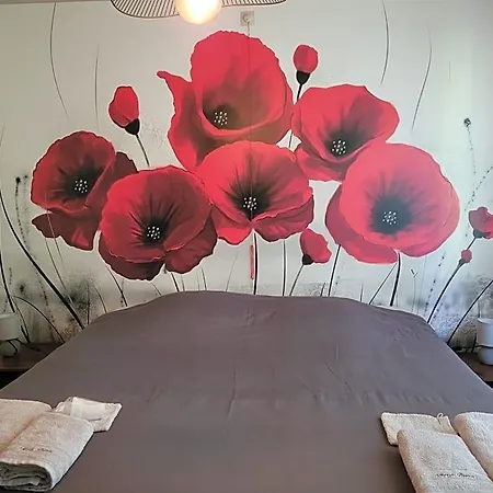 Mary's Poppies - Au Calme Panzió Blandain