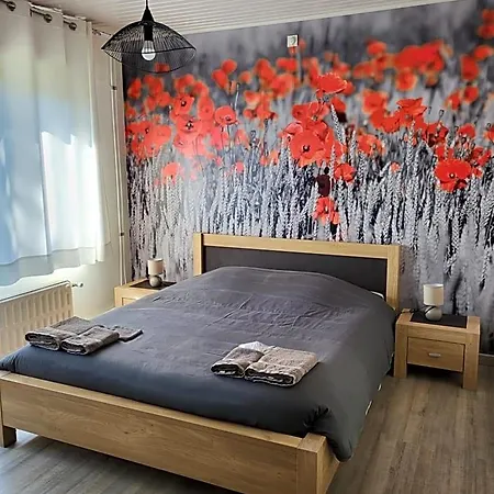 Mary's Poppies - Au Calme Panzió Blandain