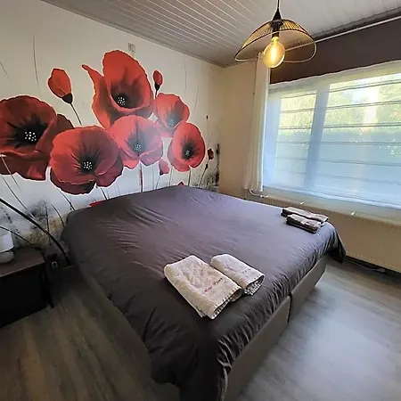 Mary's Poppies - Au Calme Blandain